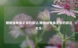 糖醋排骨最正宗的做法(糖醋排骨最正宗的做法大全)