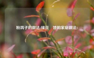 粉鸽子的做法(绿豆饹馇的家庭做法)