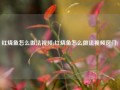 红烧鱼怎么做法视频(红烧鱼怎么做法视频窍门)