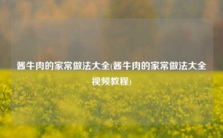 酱牛肉的家常做法大全(酱牛肉的家常做法大全视频教程)
