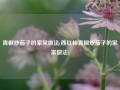 青椒炒茄子的家常做法(西红柿青椒炒茄子的家常做法)