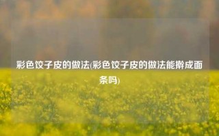 彩色饺子皮的做法(彩色饺子皮的做法能擀成面条吗)