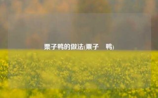 栗子鸭的做法(粟子炇鸭)