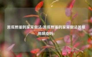 苦瓜煎蛋的家常做法(苦瓜煎蛋的家常做法苦瓜用削皮吗)