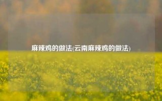麻辣鸡的做法(云南麻辣鸡的做法)