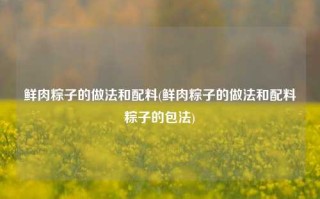 鲜肉粽子的做法和配料(鲜肉粽子的做法和配料粽子的包法)