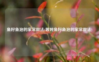 鱼籽鱼泡的家常做法(酱炖鱼籽鱼泡的家常做法)