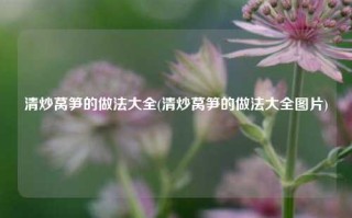 清炒莴笋的做法大全(清炒莴笋的做法大全图片)