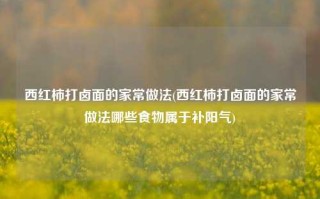 西红柿打卤面的家常做法(西红柿打卤面的家常做法哪些食物属于补阳气)