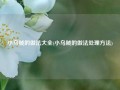 小乌贼的做法大全(小乌贼的做法处理方法)