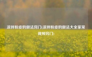 凉拌粉皮的做法窍门(凉拌粉皮的做法大全家常视频窍门)