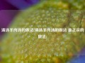 清汤羊肉汤的做法(清汤羊肉汤的做法 最正宗的做法)