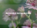 狗杠鱼的做法(狗杠鱼的做法步骤)