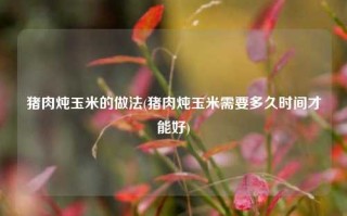 猪肉炖玉米的做法(猪肉炖玉米需要多久时间才能好)