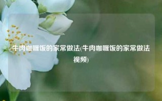 牛肉咖喱饭的家常做法(牛肉咖喱饭的家常做法视频)