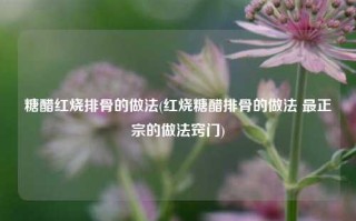 糖醋红烧排骨的做法(红烧糖醋排骨的做法 最正宗的做法窍门)