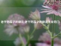 老干妈茄子的做法(老干妈茄子的做法大全窍门)