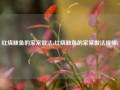 红烧鲅鱼的家常做法(红烧鲅鱼的家常做法视频)
