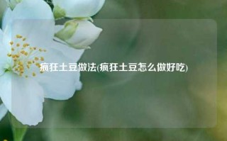 疯狂土豆做法(疯狂土豆怎么做好吃)