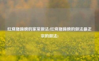 红烧猪蹄膀的家常做法(红烧猪蹄膀的做法最正宗的做法)