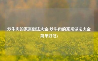 炒牛肉的家常做法大全(炒牛肉的家常做法大全简单好吃)