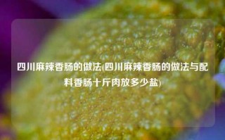 四川麻辣香肠的做法(四川麻辣香肠的做法与配料香肠十斤肉放多少盐)