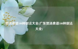 煲汤食谱100种做法大全(广东煲汤食谱100种做法大全)