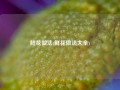 鲜花做法(鲜花做法大全)