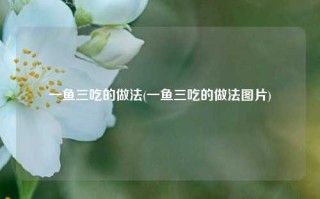 一鱼三吃的做法(一鱼三吃的做法图片)