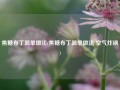 焦糖布丁简单做法(焦糖布丁简单做法 空气炸锅)