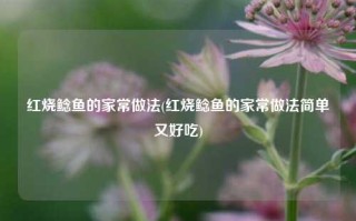 红烧鲶鱼的家常做法(红烧鲶鱼的家常做法简单又好吃)