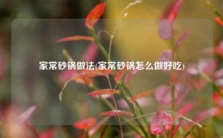 家常砂锅做法(家常砂锅怎么做好吃)