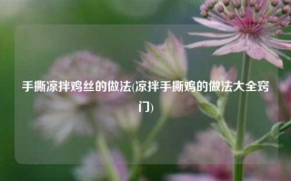 手撕凉拌鸡丝的做法(凉拌手撕鸡的做法大全窍门)