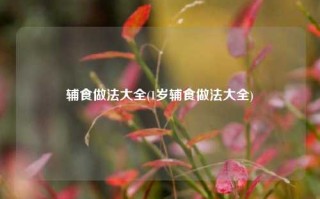 辅食做法大全(1岁辅食做法大全)
