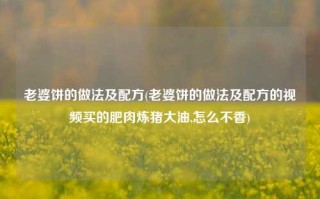 老婆饼的做法及配方(老婆饼的做法及配方的视频买的肥肉炼猪大油,怎么不香)