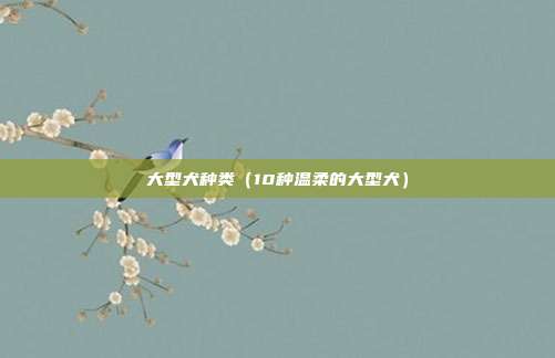 大型犬种类(10种温柔的大型犬) 大型犬种类(10种温柔的大型犬)