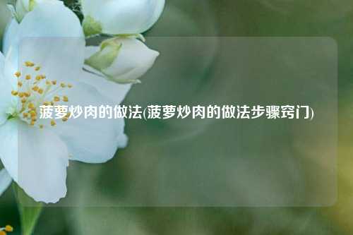 菠萝炒肉的做法(菠萝炒肉的做法步骤窍门)