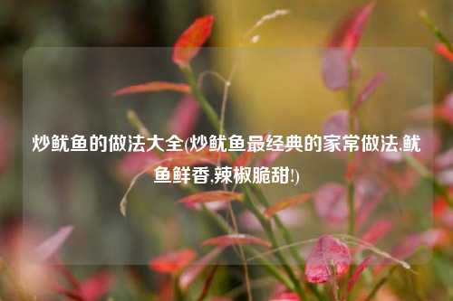 炒鱿鱼的做法大全(炒鱿鱼最经典的家常做法,鱿鱼鲜香,辣椒脆甜!)