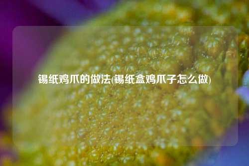 锡纸鸡爪的做法(锡纸盒鸡爪子怎么做)