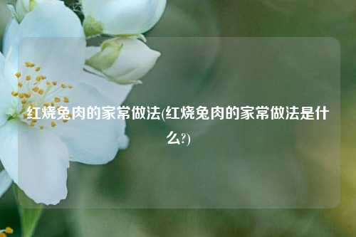 红烧兔肉的家常做法(红烧兔肉的家常做法是什么?)