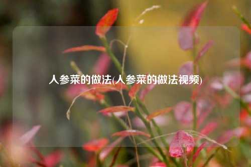 人参菜的做法(人参菜的做法视频)