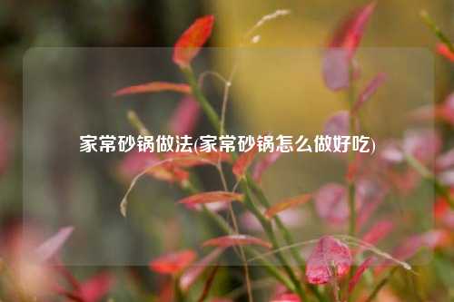 家常砂锅做法(家常砂锅怎么做好吃)