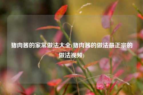 猪肉酱的家常做法大全(猪肉酱的做法最正宗的做法视频)
