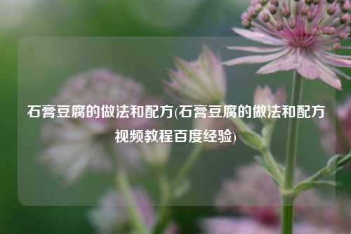 石膏豆腐的做法和配方(石膏豆腐的做法和配方视频教程百度经验)