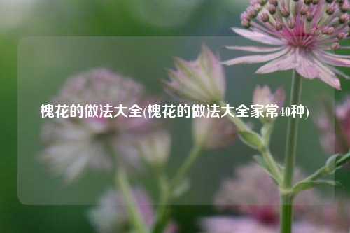 槐花的做法大全(槐花的做法大全家常40种)