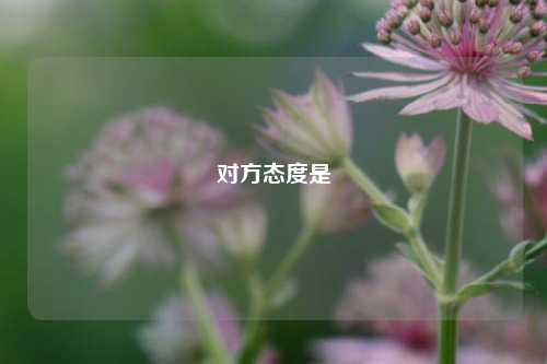 对方态度是