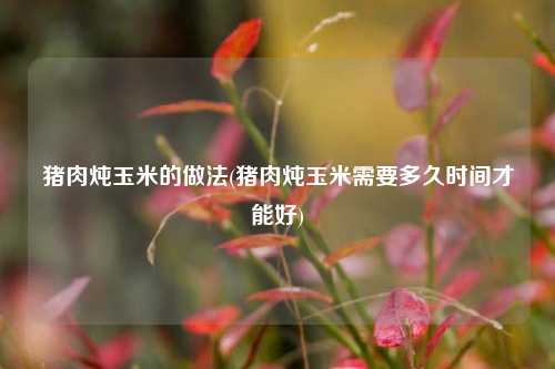 猪肉炖玉米的做法(猪肉炖玉米需要多久时间才能好)