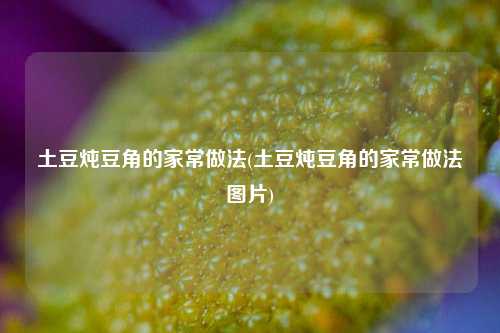 土豆炖豆角的家常做法(土豆炖豆角的家常做法图片)