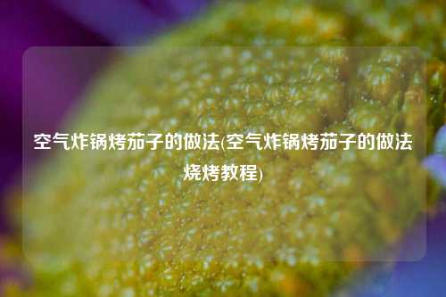 空气炸锅烤茄子的做法(空气炸锅烤茄子的做法烧烤教程)