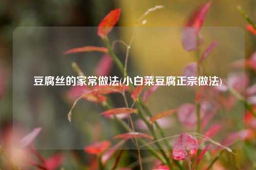 豆腐丝的家常做法(小白菜豆腐正宗做法)